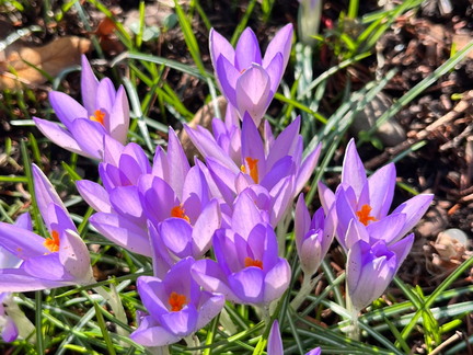 23-02-13 12-44-26 4179